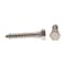 Prime-Line Hex Lag Screw 3/8in X 2in Grade 18-8 Stainless Steel 25PK 9056182 - alternate 4